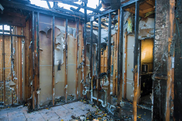 Professional Fire Damage Removal technician working in Willow Grove, TX